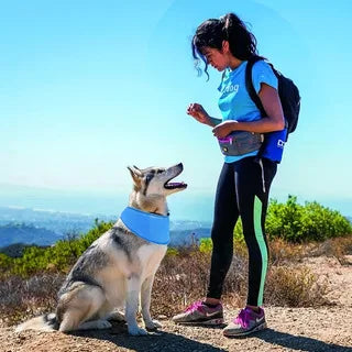 Pet Cooling Scarf - Adjustable Nylon Neck Collar Lightweight Durable Easy-clean, for Dogs Cats Hiking Heatstroke Prevention