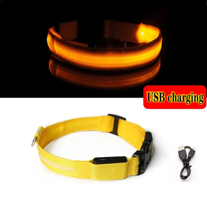 LED Rechargeable Dog Collars