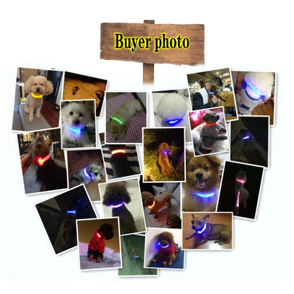 LED Rechargeable Dog Collars