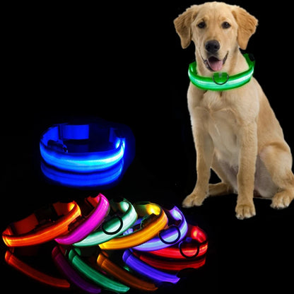 LED Rechargeable Dog Collars