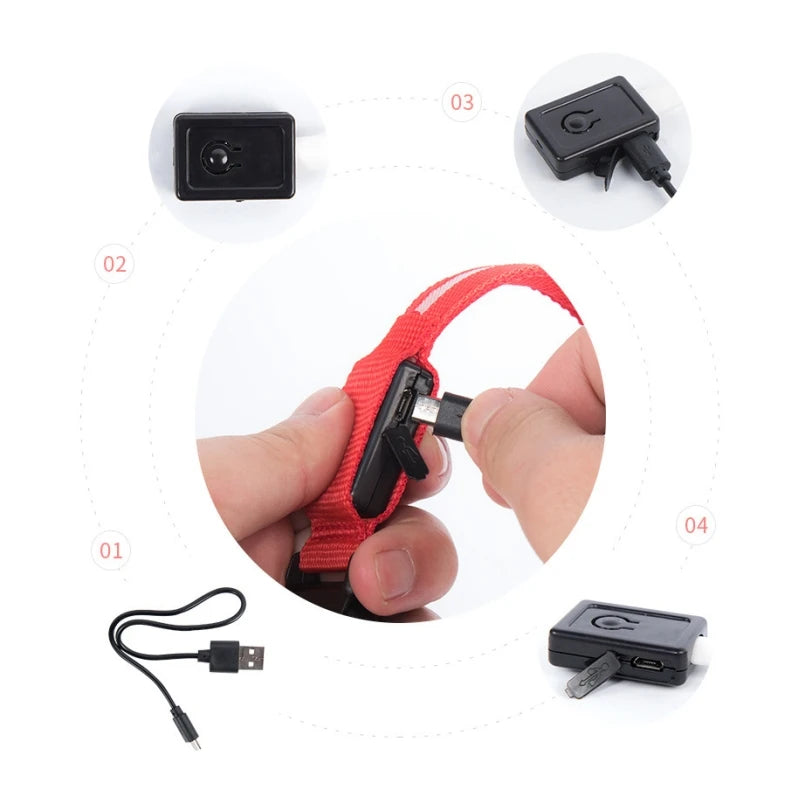 LED Rechargeable Dog Collars