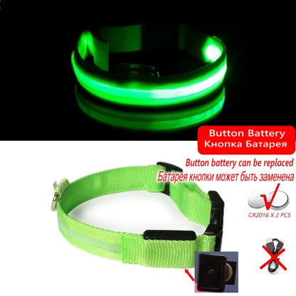 LED Rechargeable Dog Collars