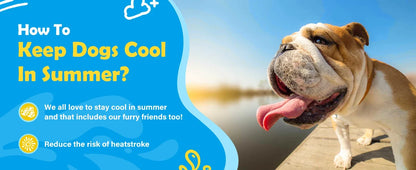 Dog Cool Toys Splash Pad for Dogs Anti-Slip Pool for Large Dogs Thickened Durable Outdoor Water Play Mat Summer Sprinkler Toy