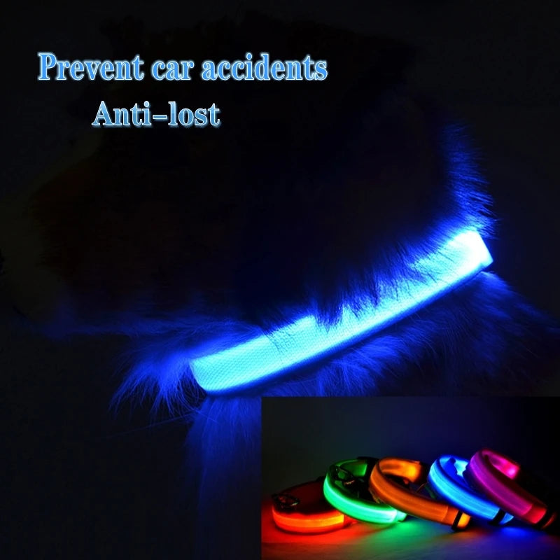 LED Rechargeable Dog Collars