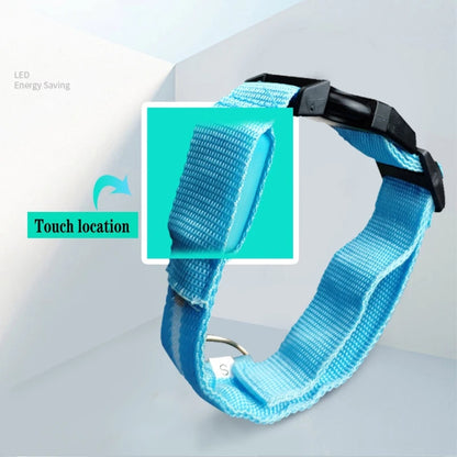 LED Rechargeable Dog Collars