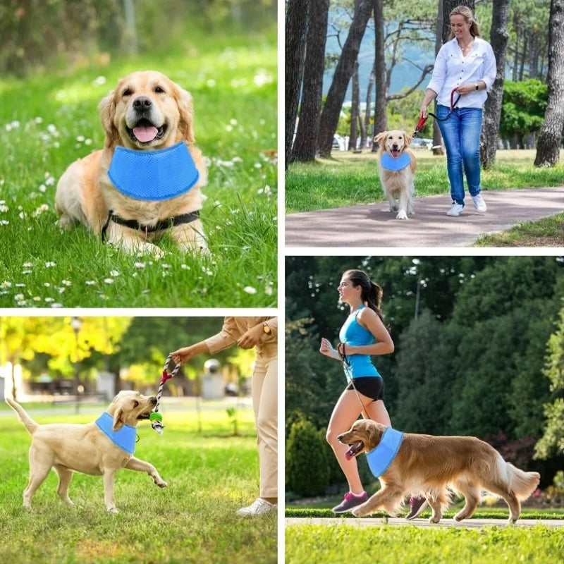 Pet Cooling Scarf - Adjustable Nylon Neck Collar Lightweight Durable Easy-clean, for Dogs Cats Hiking Heatstroke Prevention
