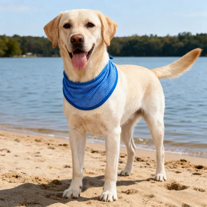 Pet Cooling Scarf - Adjustable Nylon Neck Collar Lightweight Durable Easy-clean, for Dogs Cats Hiking Heatstroke Prevention